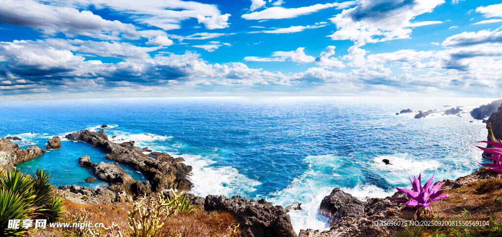 海边壮丽风景与绚烂花卉