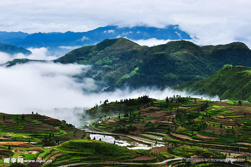 山间云雾缭绕的梯田美景