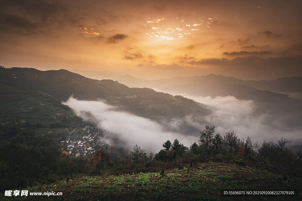 山间日出云海美景