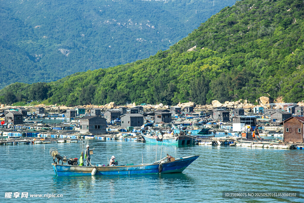 海边渔村的宁静渔船景象