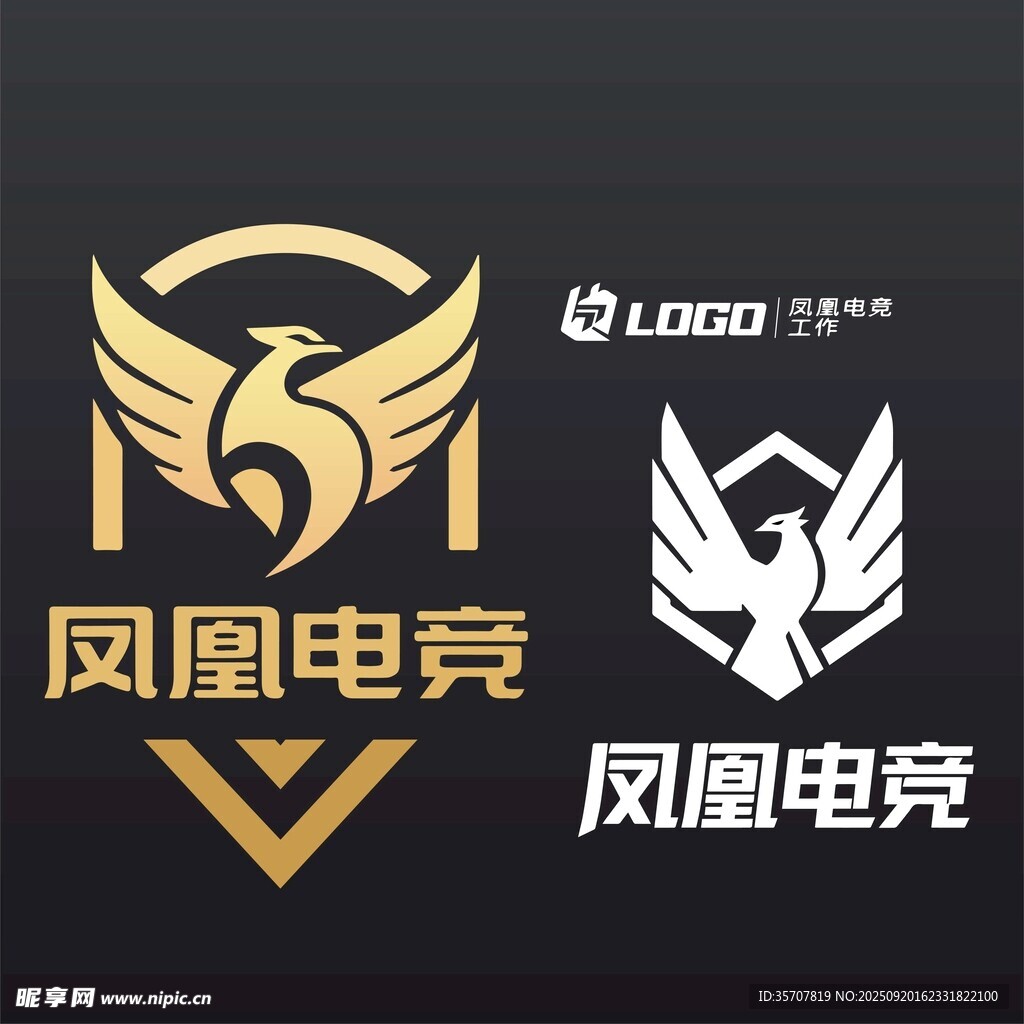 凤凰电竞标志设计展示