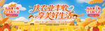 农民丰收节