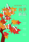 秋季上新
