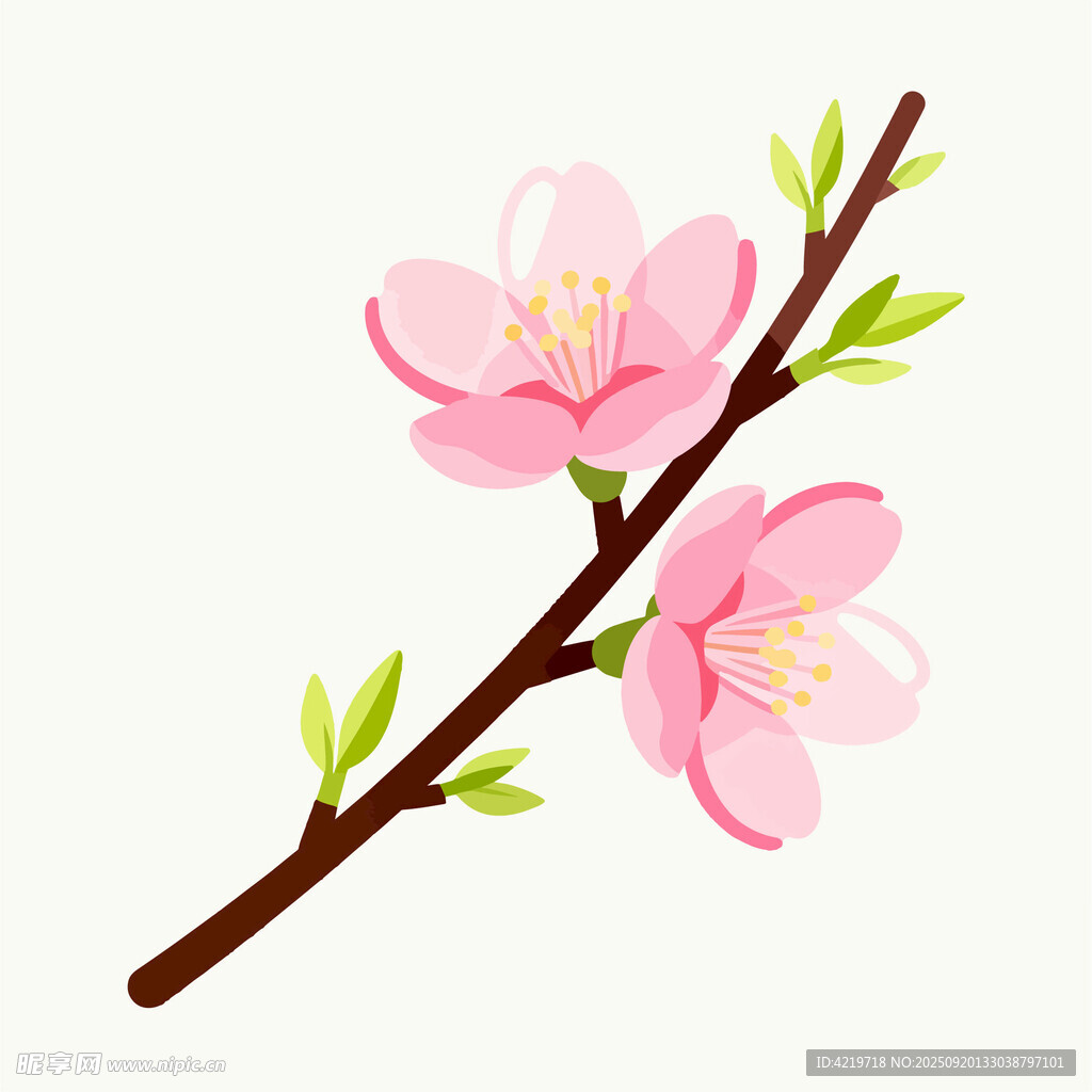 粉色桃花枝樱花枝