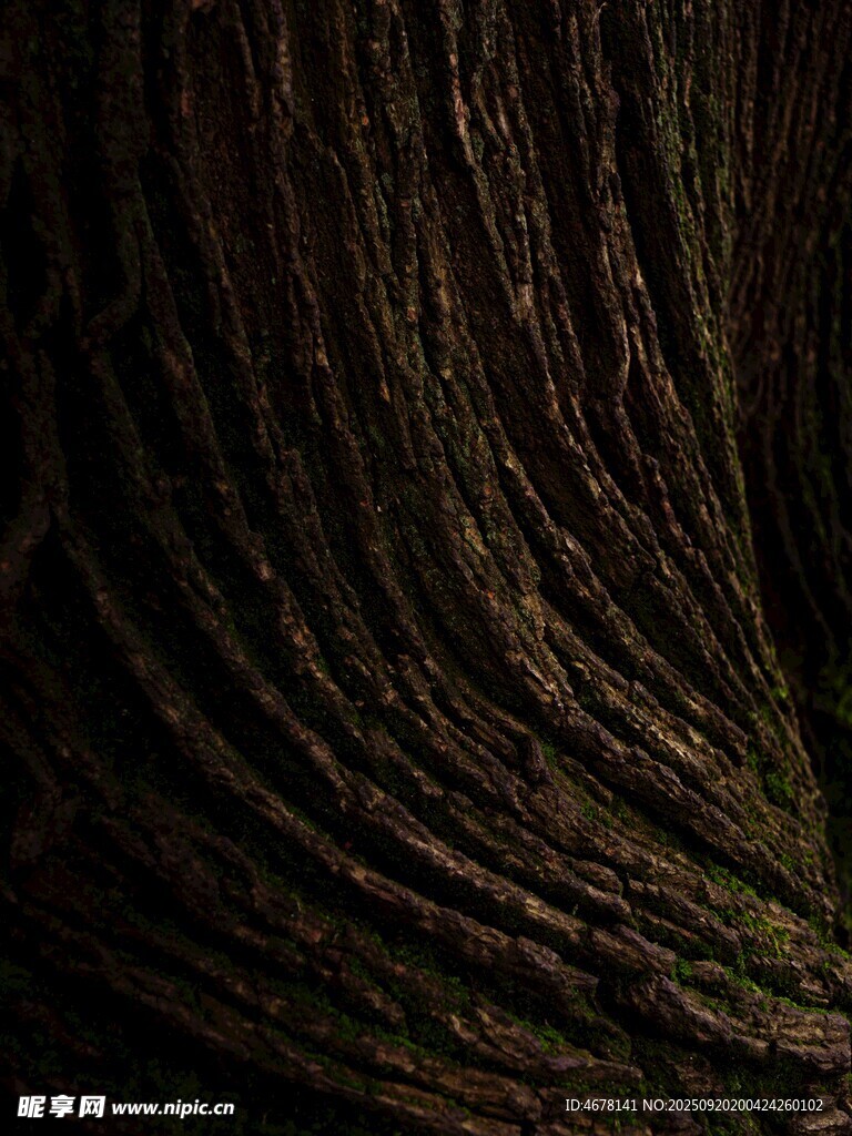 纹理独特的深色木纹