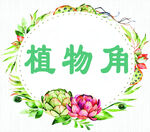 清新植物角装饰插画