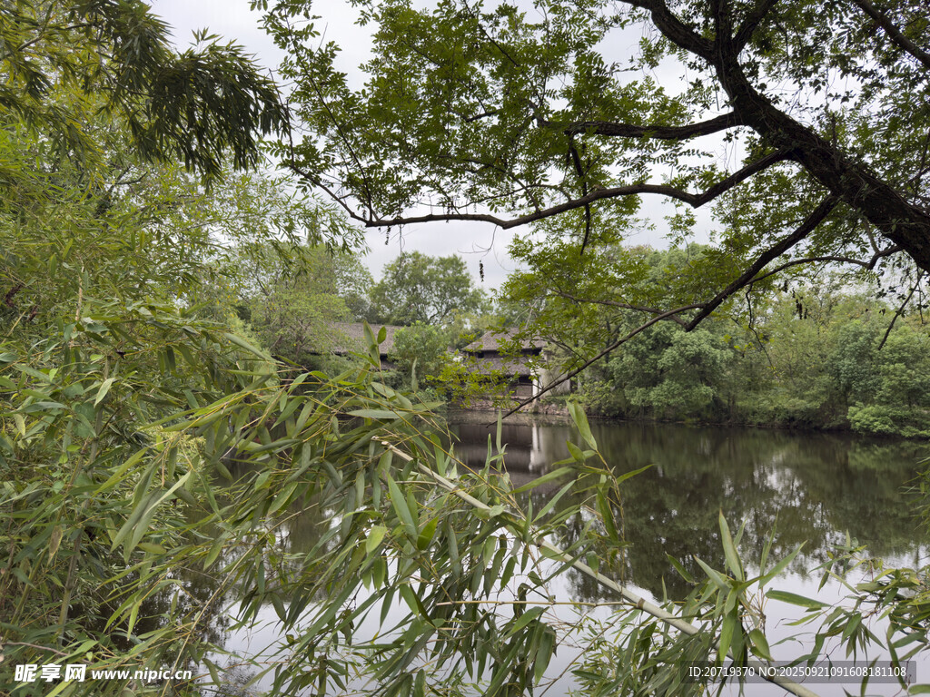 西溪湿地
