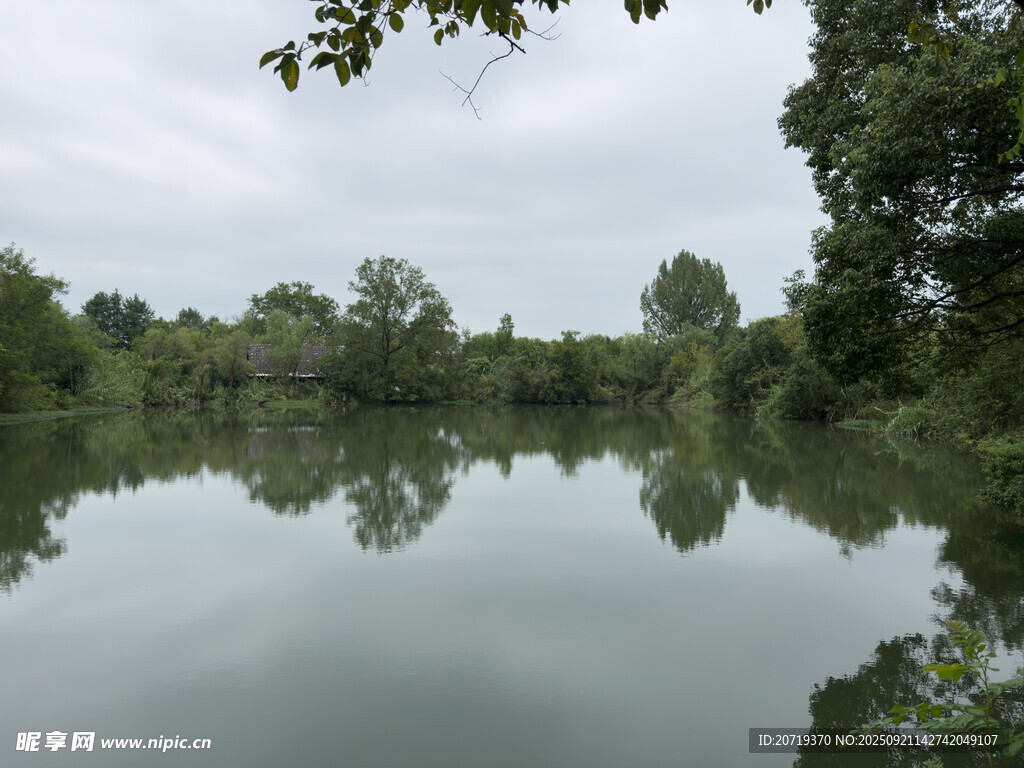 宁静湖畔绿树倒影美景
