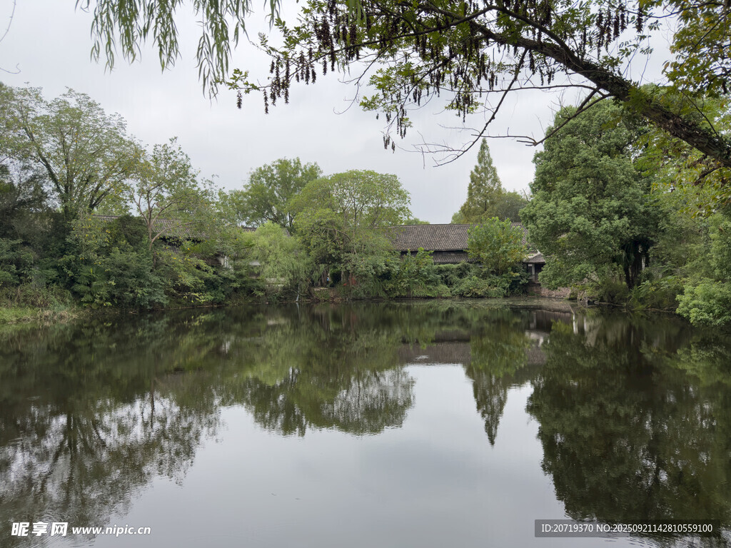 西溪湿地