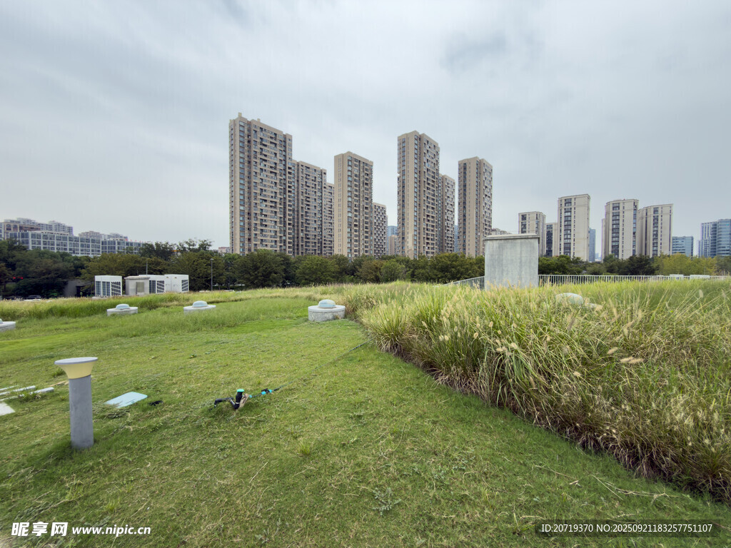 城市绿地与高楼景观