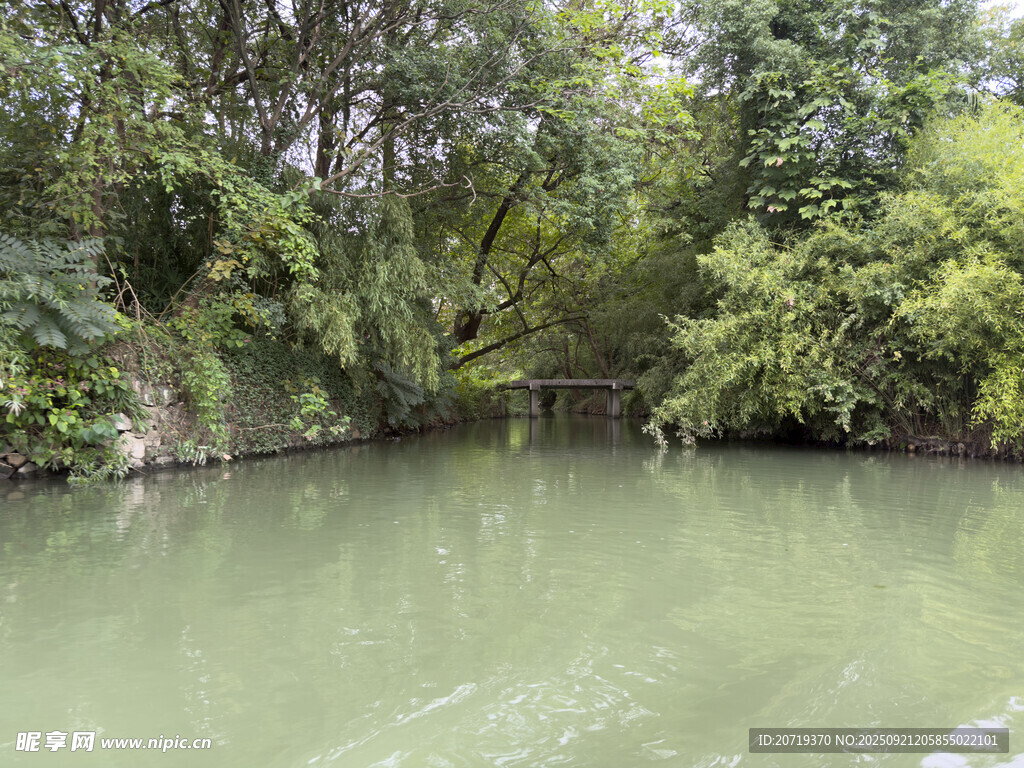 西溪湿地
