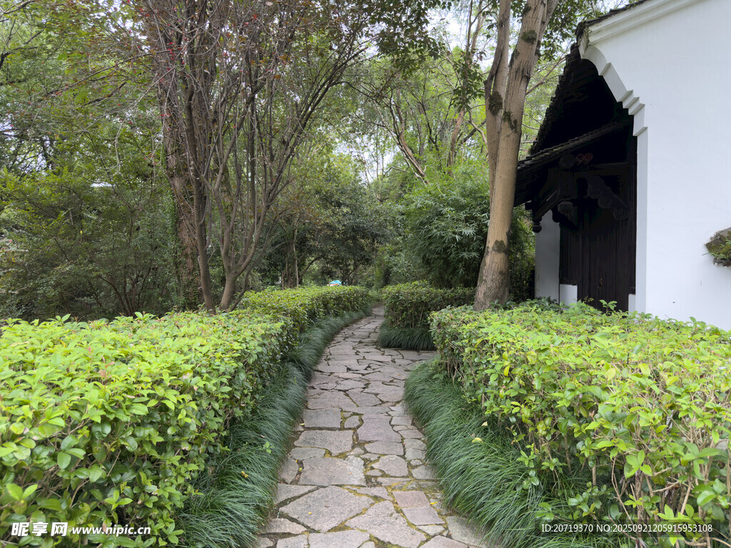 幽静林间石板小径通小屋