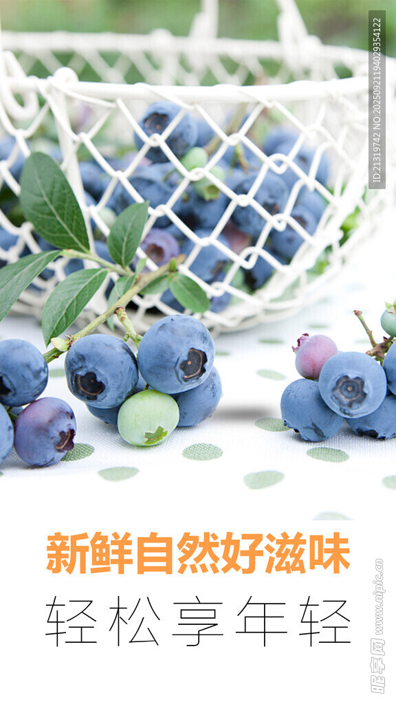 新鲜蓝莓