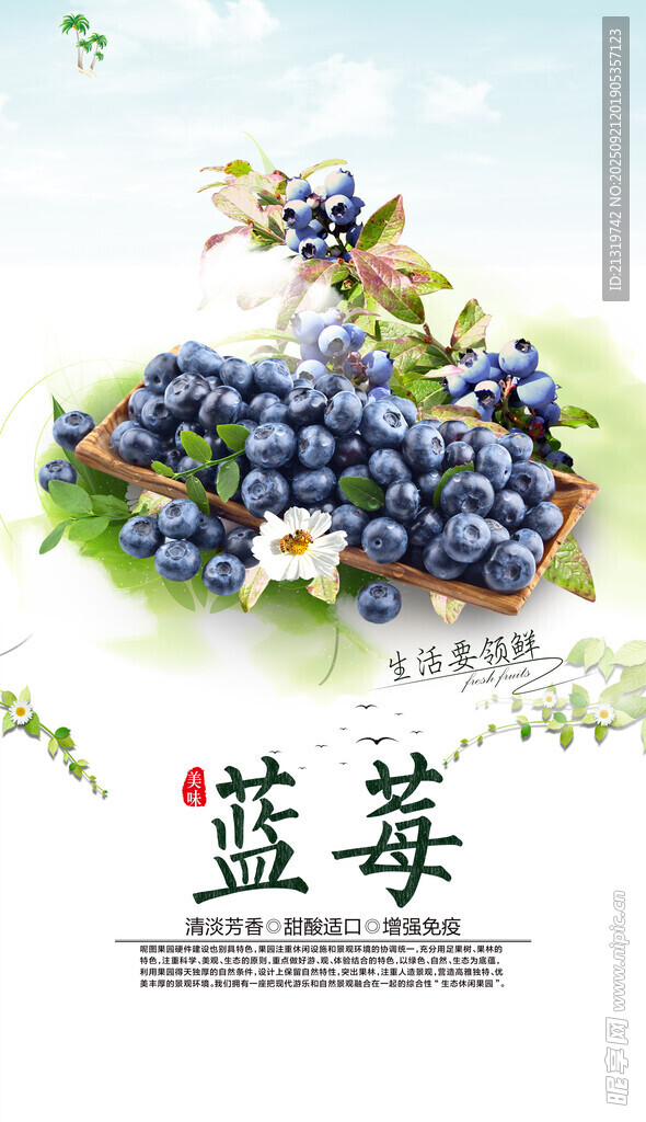 蓝莓海报