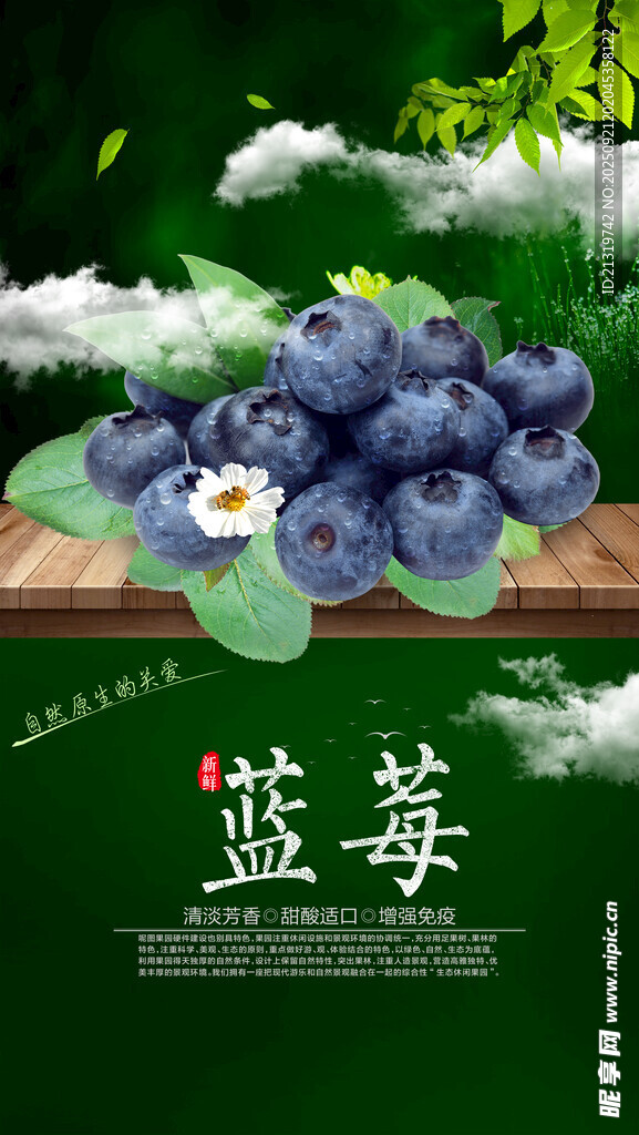 新鲜蓝莓海报