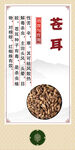 中药材 苍耳展示
