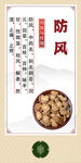 传统中药材 防风展示