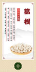 中药材 葛根展示
