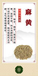 传统中药材 麻黄展示