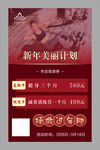 美丽计划海报