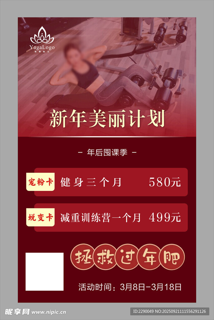 美丽计划海报