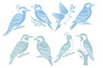 鸟图案