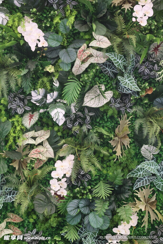 绿植墙