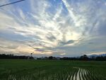 田野上空的美丽云彩