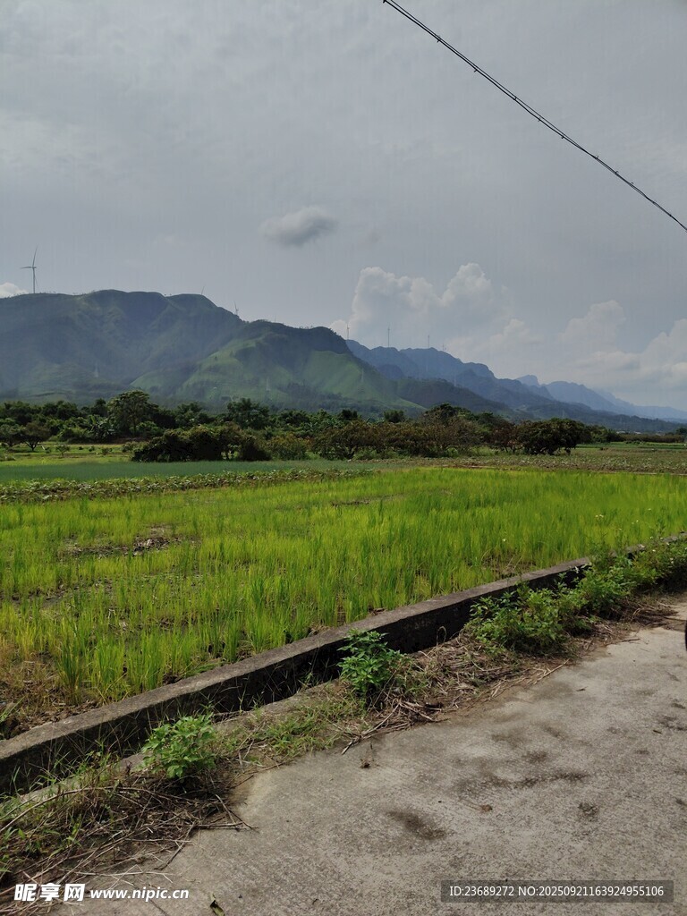 乡村田野间的宁静风光