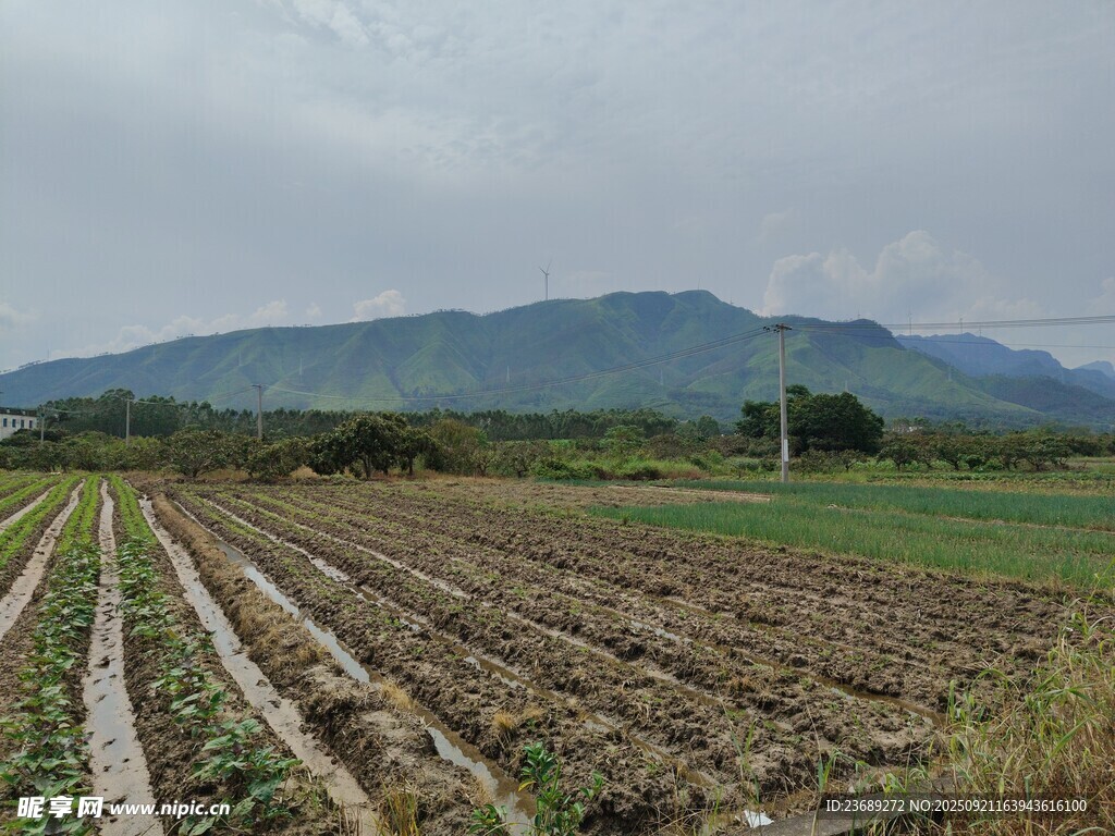 田园农田风光