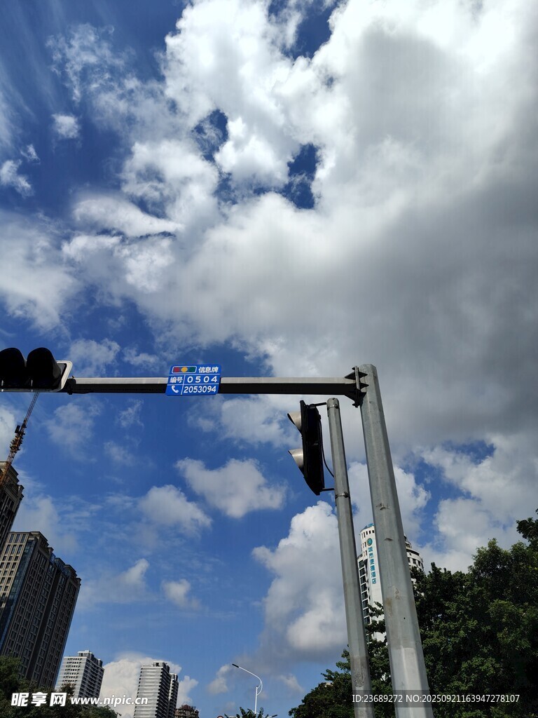 城市蓝天交通信号灯景观