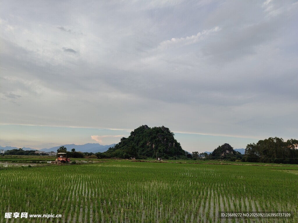 田园绿野风光