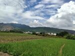 田园绿野间的山景风光