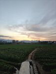 乡村的黄昏景色