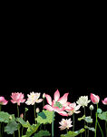 定位花