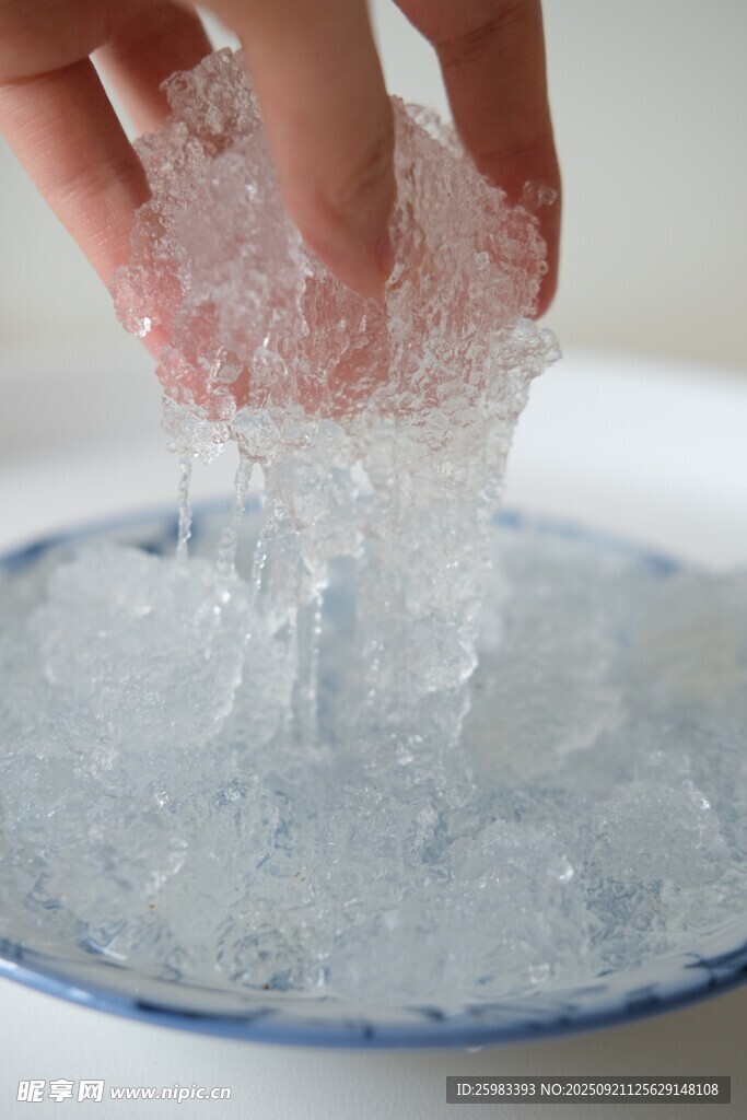 雪燕