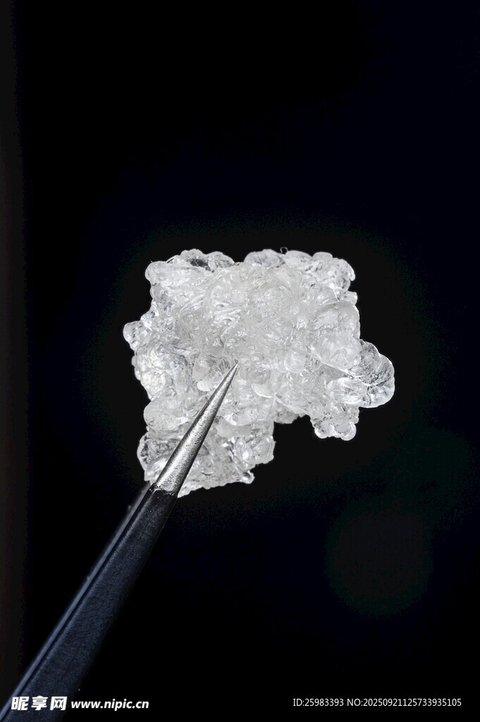雪燕