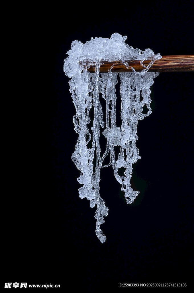 雪燕