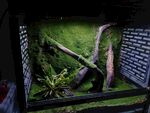 迷你绿植景观造景