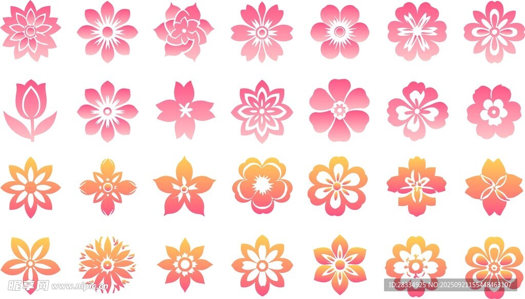 花卉花朵图案