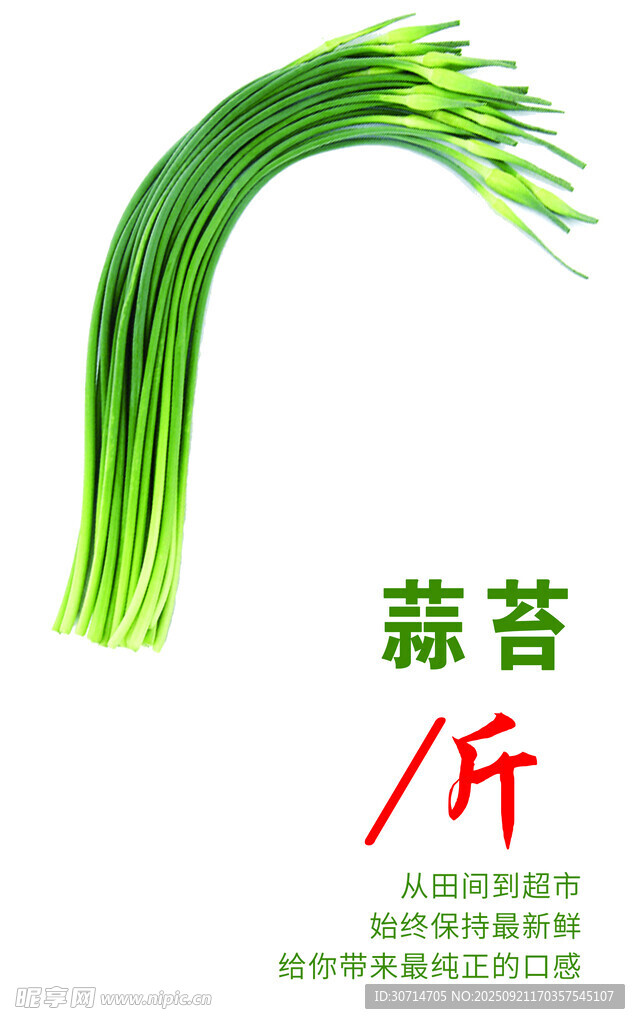 蒜台