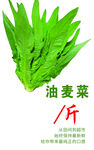 油麦菜
