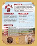 肉苁蓉介绍宣传页