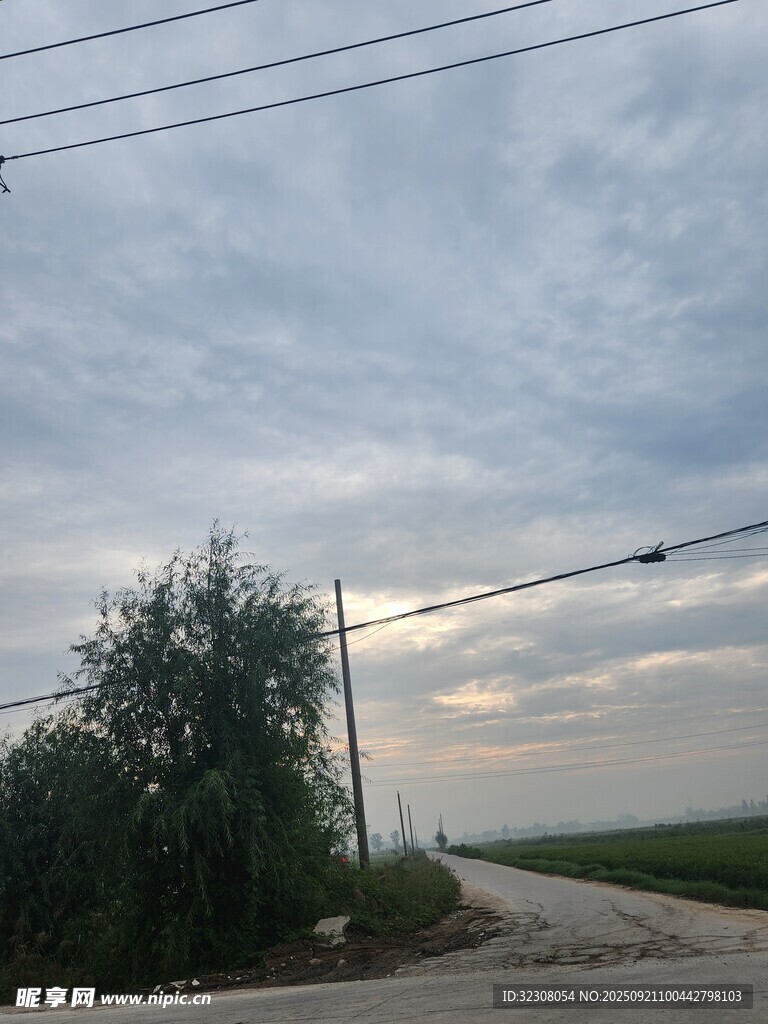 乡村田野间的电线与草木