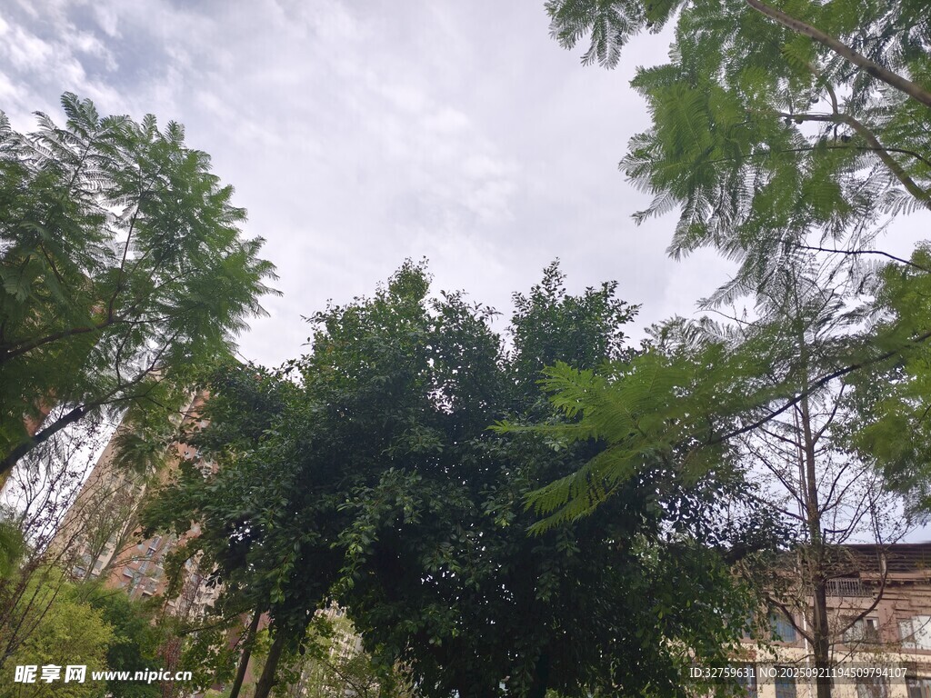 绿树掩映下的建筑一角