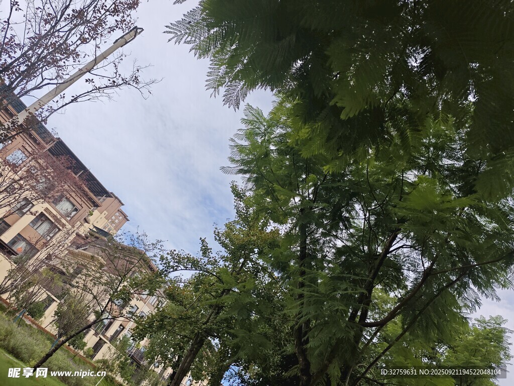 绿树环绕的古老建筑