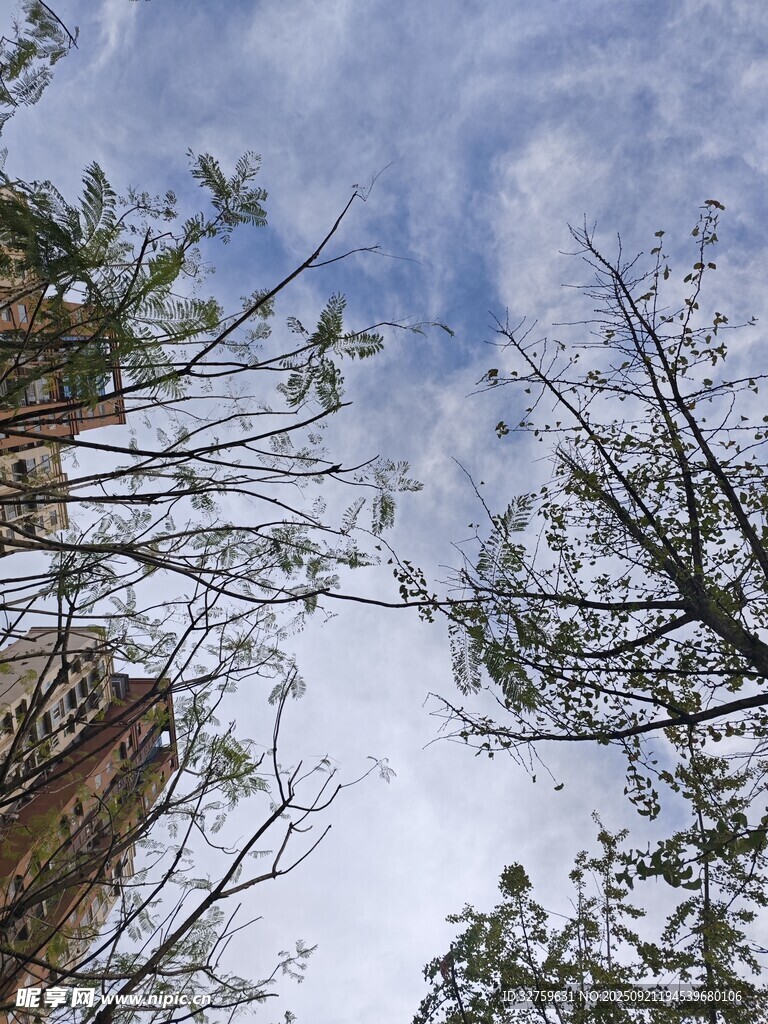 雪覆山林间的天空景致