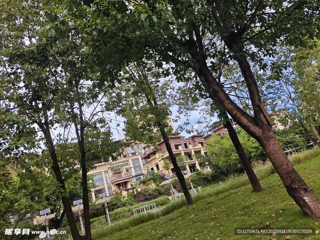 绿树环绕的静谧住宅区