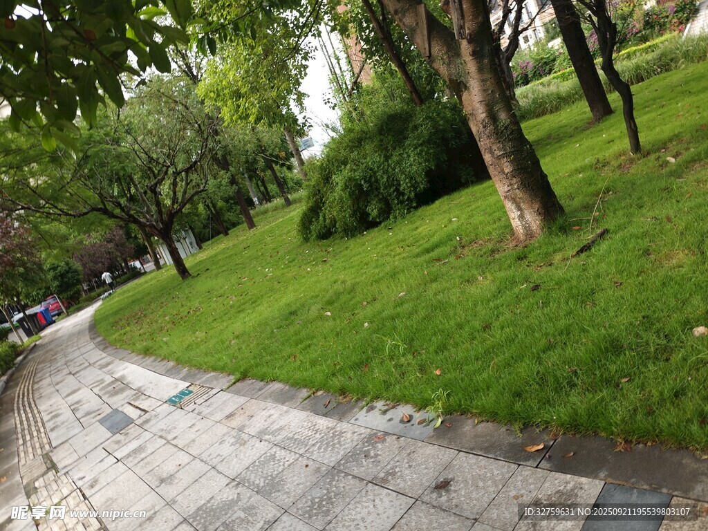 林间石板路