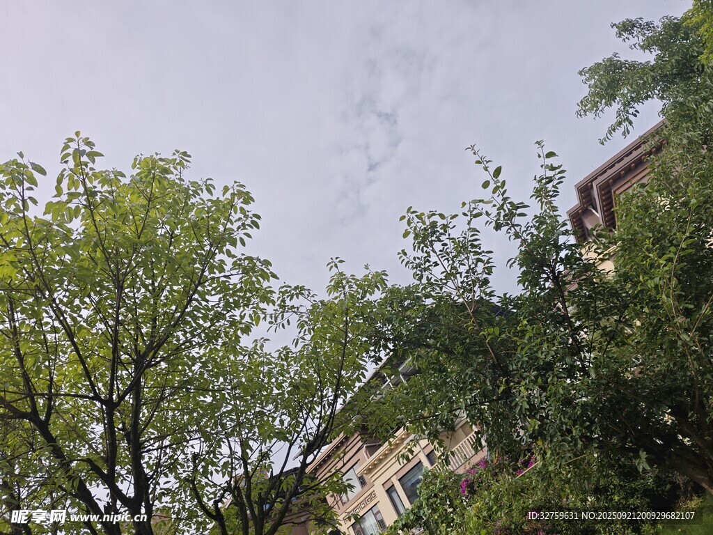 绿树掩映下的建筑一角